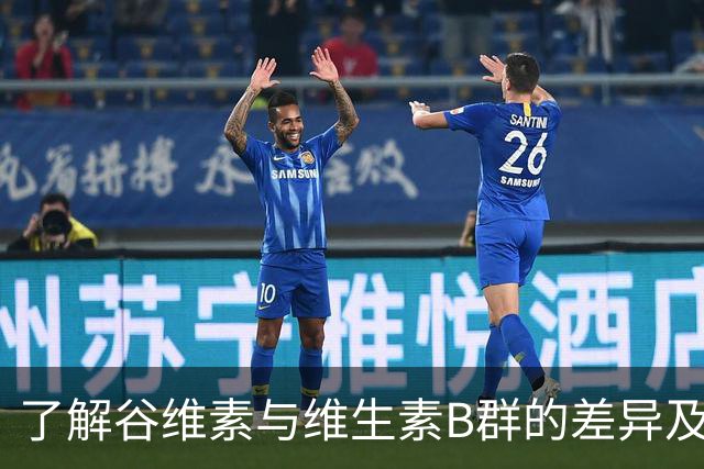了解谷维素与维生素B群的差异及其作用
