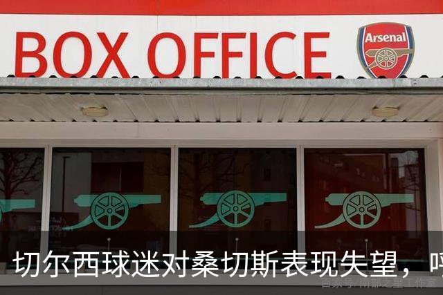 切尔西球迷对桑切斯表现失望，呼吁出售